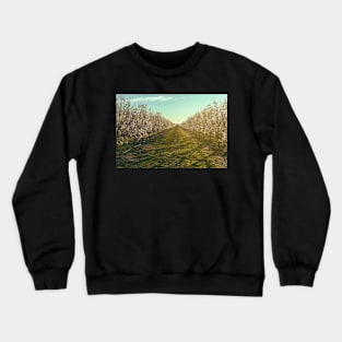 Morning at Almond Farm Crewneck Sweatshirt